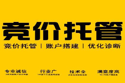 某某SEM团队成功案例：广告投放策略揭秘
